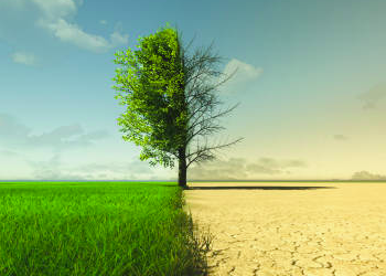 The Impact Of Climate Change On Texas